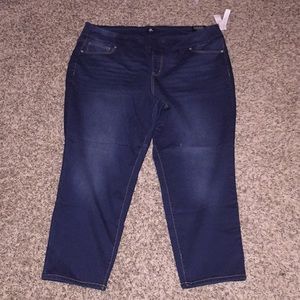 NWT Plus size Dressbarn pull on jeggings